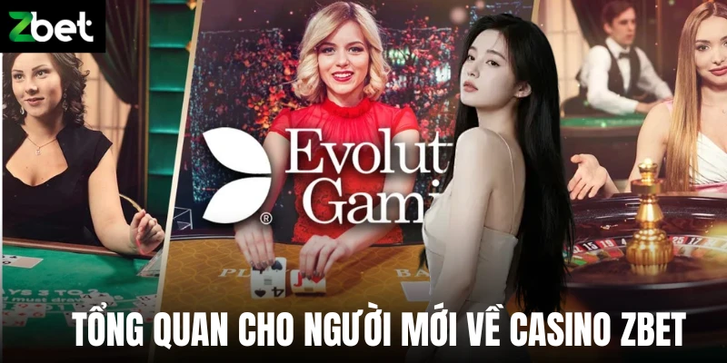 Tổng quan cho người mới về casino Zbet